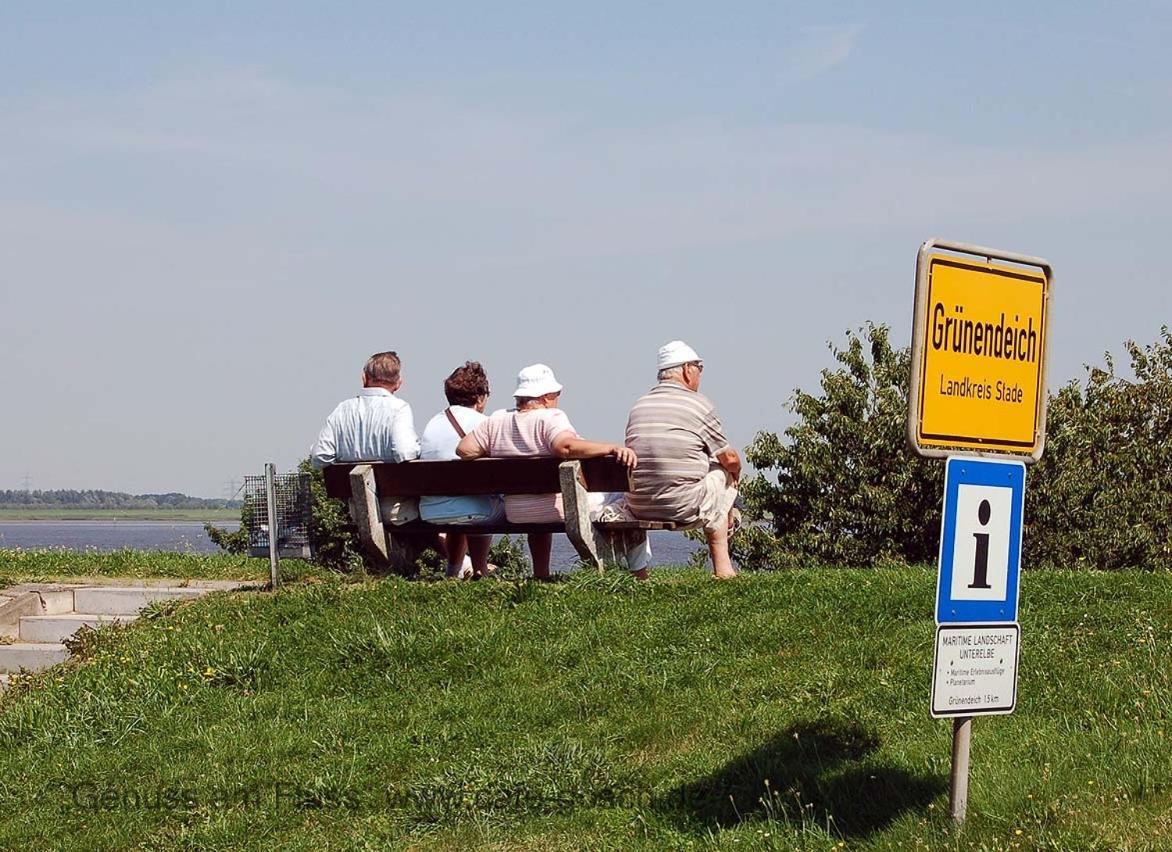 Fewo Blankenese Im Haus Luehegarten Grünendeich Buitenkant foto